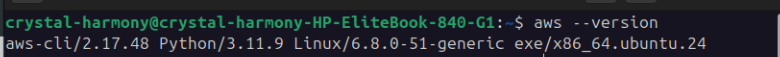 AWS version check