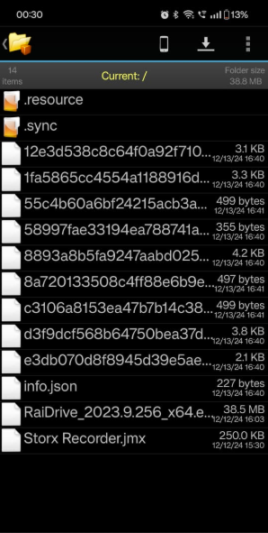 Files in StorX vault