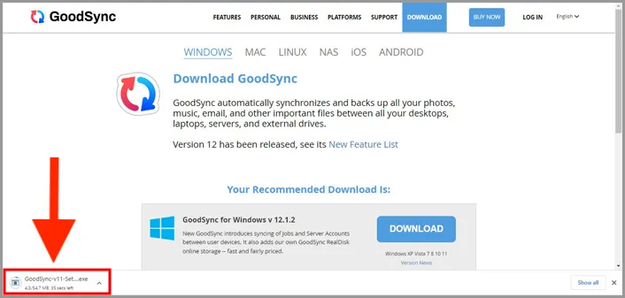 GoodSync installer