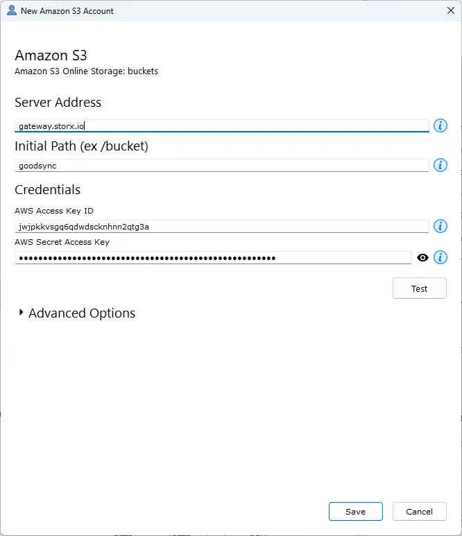 Enter credentials in GoodSync