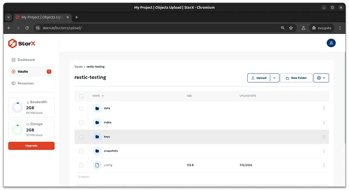 Files in StorX vault