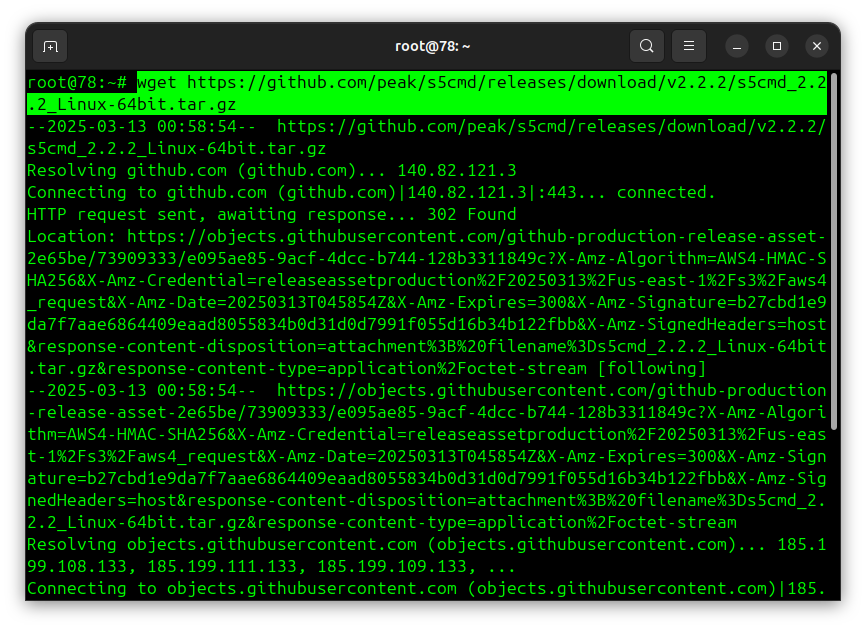 Download s5cmd
